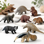 Oenux Realistic Wildlife Animal Model Beaver Badger Wolverine Anteater Pangolin Figurine  Simulation Cognitive Educational Displ