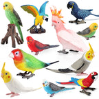 Oenux Bird Forest Animal Parrot Macaw Cockatiel Cockatoo Agapornis Puffin Model Solid PVC Garden Decoration Education Kids Toy