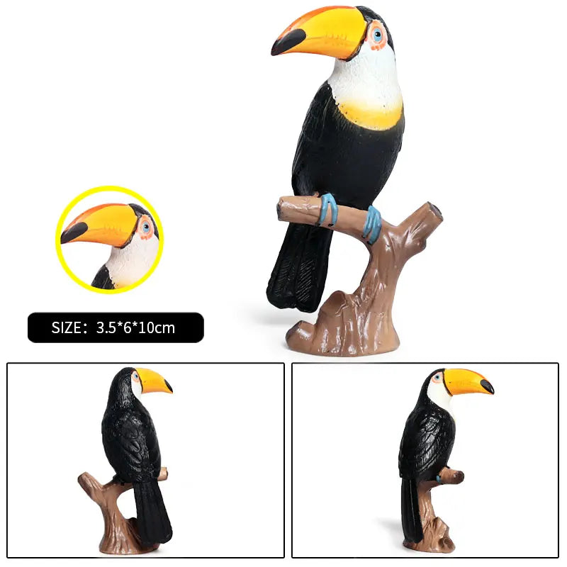 Oenux Garden Bird Figurines Snowy Owl Toucan Bucerotidae Animals Model PVC Action Figures Collection Toys For Kids Birthday Gift