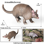 Oenux Wild Animals Simulation AArdvark Anteater Armadillo Pangolin Ant Natural Enemy Figurines PVC Model Collection Kid Toy Gift