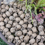 20 PCS Creative Miniature Skull, Cool Miniature Skull for Garden Bonsai Decoration, Resin Crafts