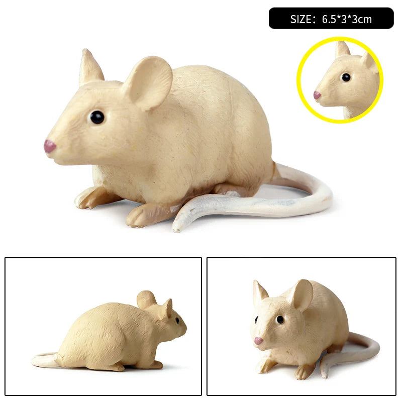 Oenux Wild Animals Simulation Rodent Marmot Mouse Model Squirrel Rat Chinchilla Action Figure Figurine Collection Cute Kid Toy