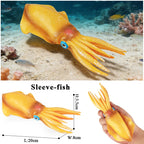 Oenux Marine Molluscs Model Simulation Squid Octopus Growth Cycle Action Figure Sealife Animals Education Collection Kids Toy