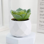Artificial Succulent Bonsai Plants Simulation Succulents Mini Evergreen Bonsai Cactus Succulent Plastic Fake Plants Decor