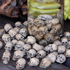 20 PCS Creative Miniature Skull, Cool Miniature Skull for Garden Bonsai Decoration, Resin Crafts