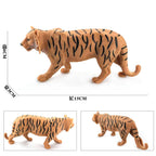 Oenux Original African Wild Animals Simulation Savage Bengal Tiger Siberian Tiger White Tiger Lion PVC Model Educational Toys