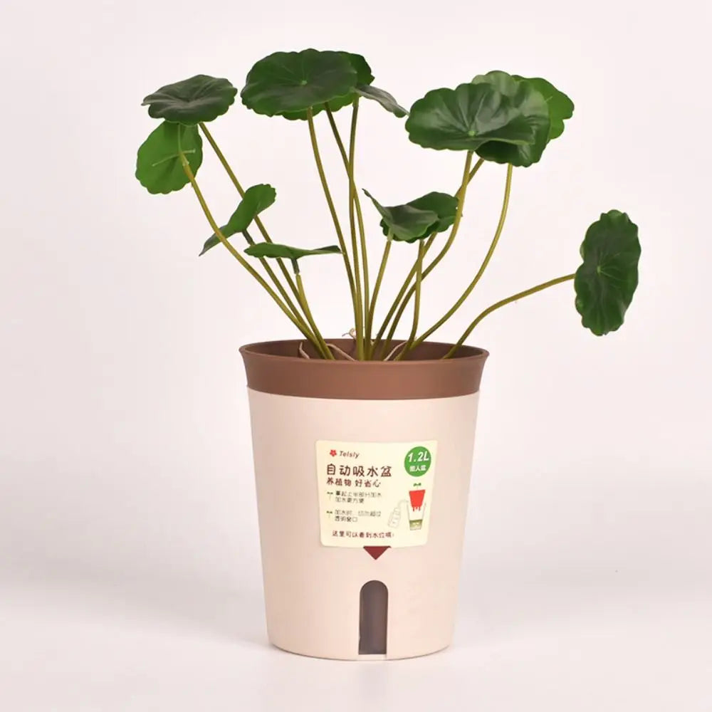 Self Watering Planter Lazy Hydroponic Flower Pot Plastic Office Decor Self-absorbent Flower Pot Desktop Decoration Living Room