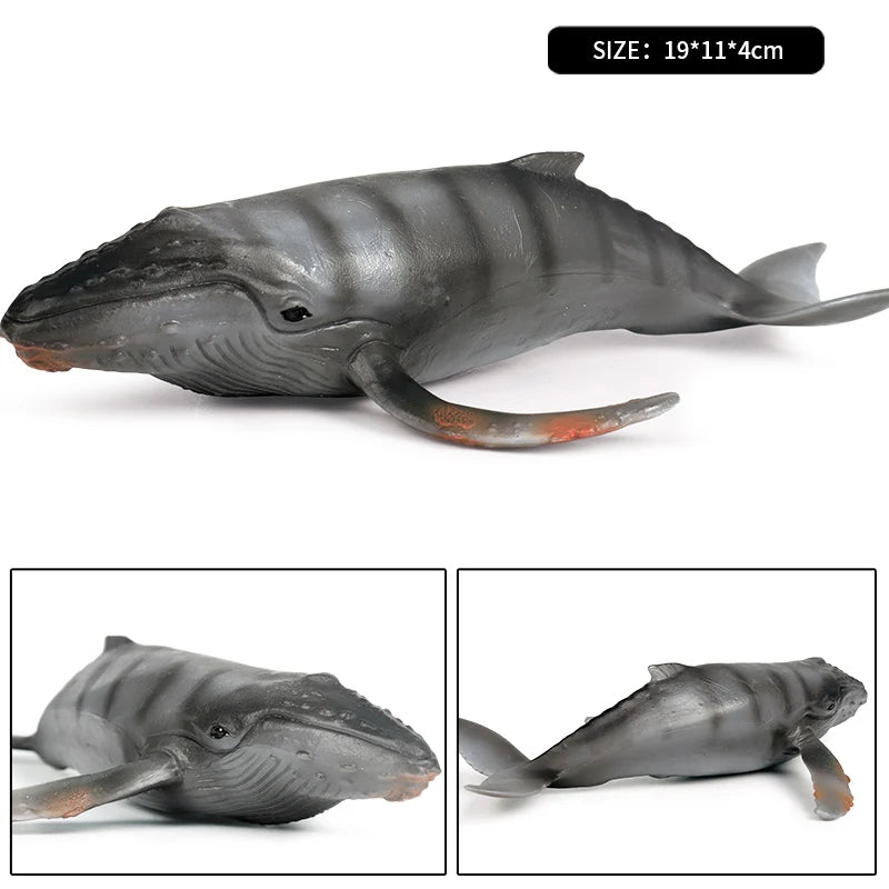 Oenux Ocean Animal Savage Megalodon Beluga Big Shark Orca Sperm Blue Whale Action Figures Sea Life Model Educational Kids Toy