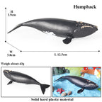 Oenux Ocean Life Animals Whale Dolphin Basking Shark Narwhal Tropical Fish Model Action Figures PVC Education Toy Kids Gift