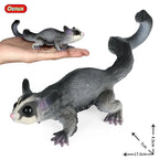 Oenux Classic Australian Wild Animals Kangaroos Koala Platypus Tasmanian Devil Echidna Cassowary Model Figurine Toy Kid Gift