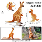 Oenux Classic Australian Wild Animals Kangaroos Koala Platypus Tasmanian Devil Echidna Cassowary Model Figurine Toy Kid Gift