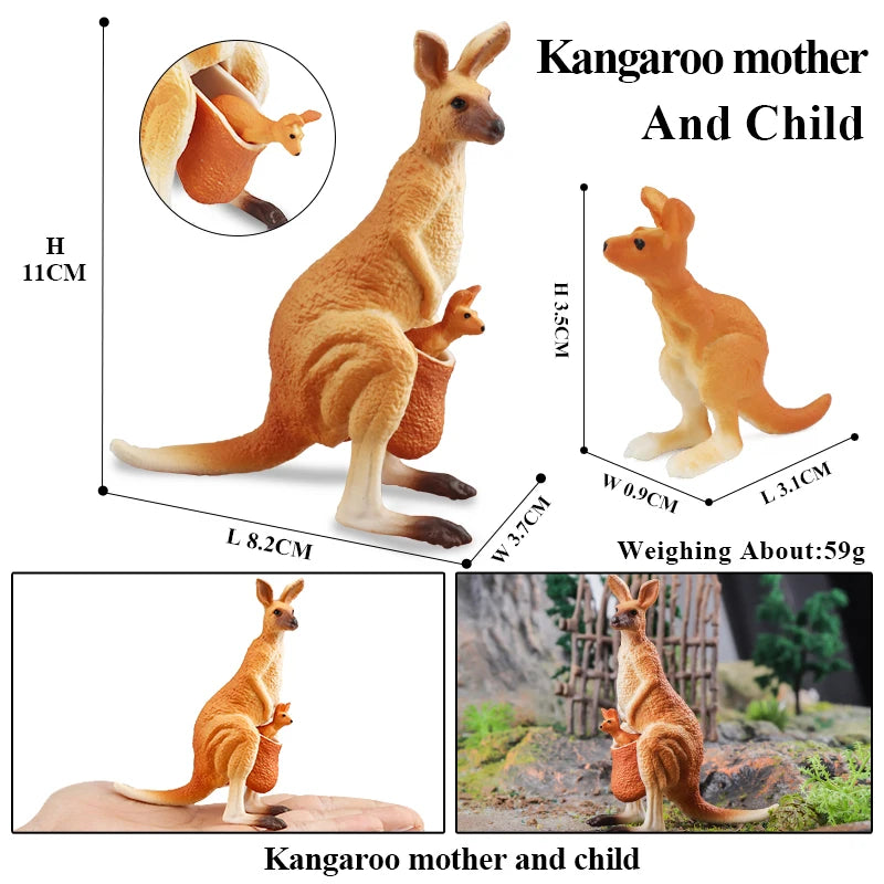 Oenux Classic Australian Wild Animals Kangaroos Koala Platypus Tasmanian Devil Echidna Cassowary Model Figurine Toy Kid Gift