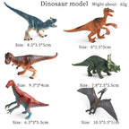 Oenux Mini Wild Forest Animals Insect Dinosaur Model Owl Fox Squirrel Hedgehog Fox Frog Figurines Cake Toppers Kid Toy Gift