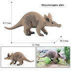 Oenux Wild Animals Simulation AArdvark Anteater Armadillo Pangolin Ant Natural Enemy Figurines PVC Model Collection Kid Toy Gift