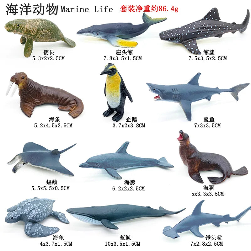 12pcs/set Plastic Simulated Sea Life Toy Model Realistic Marine Animals Whale Shark Dolphin Turtle Toys For Christmas Gifts