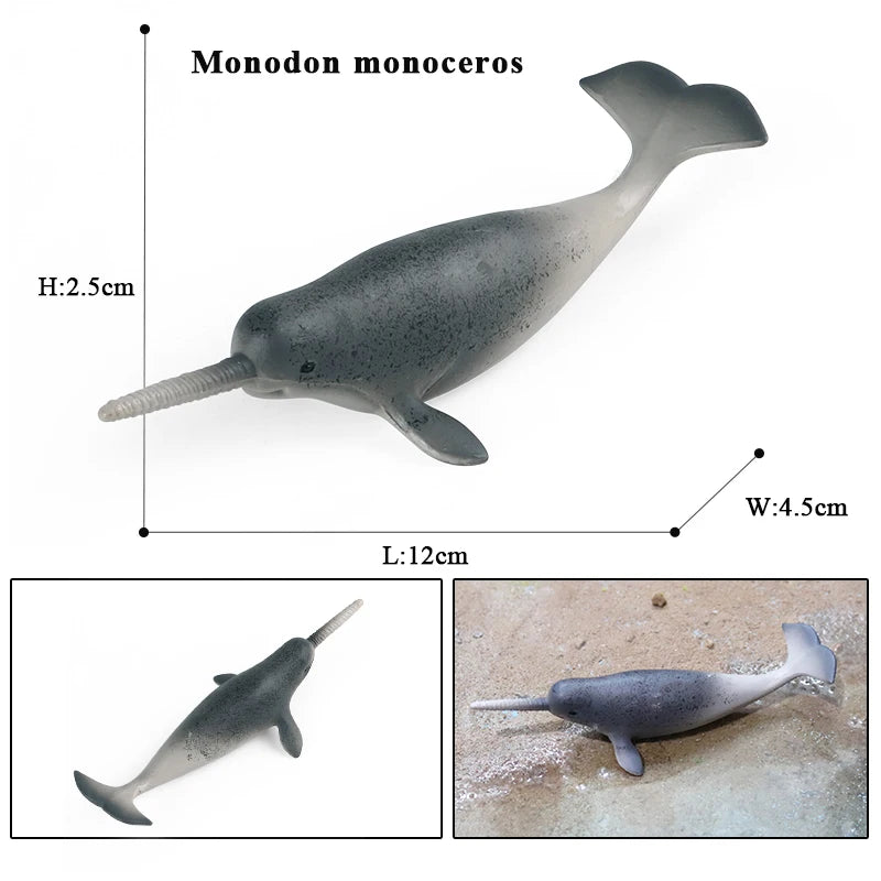Oenux Ocean Life Animals Whale Dolphin Basking Shark Narwhal Tropical Fish Model Action Figures PVC Education Toy Kids Gift