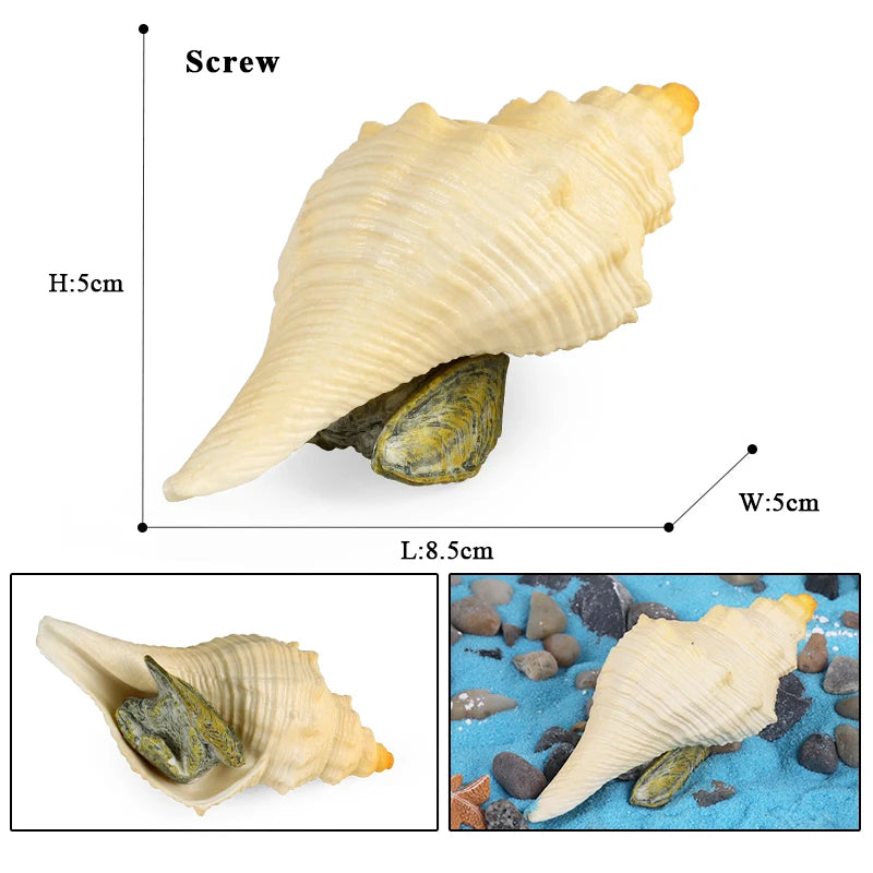 Oenux Sea Life Animals Coral Octopus Nautiloidea Crab Starfish Ocean Model Action Figures Educational Collection Toy Kid Gift