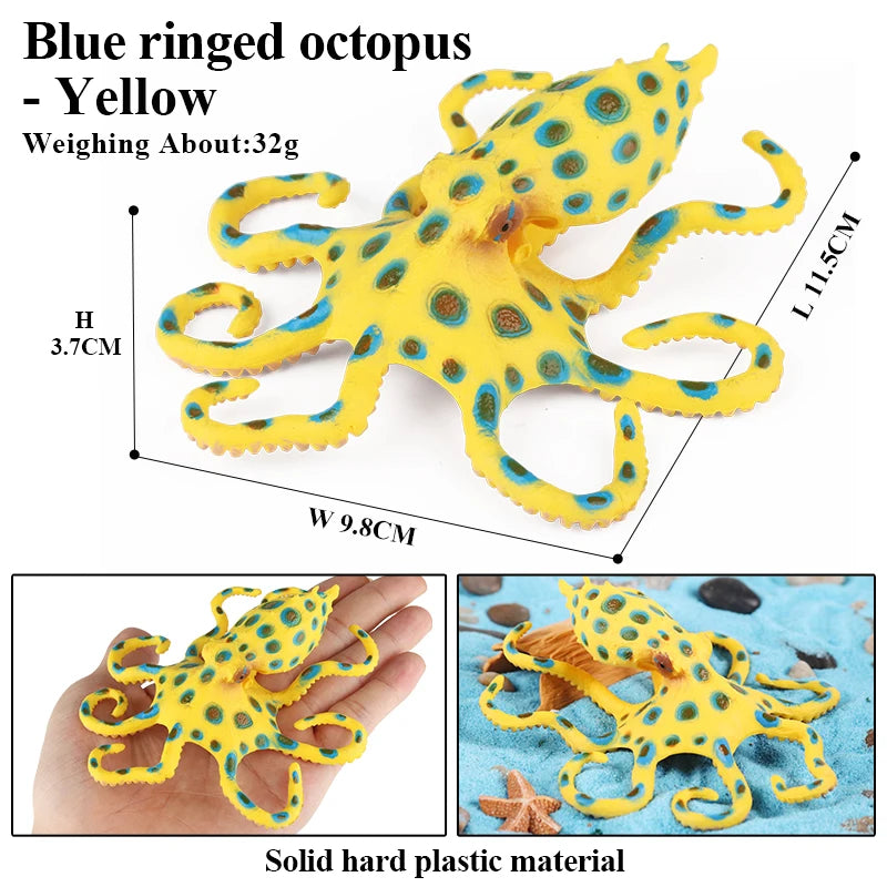Oenux Marine Molluscs Model Simulation Squid Octopus Growth Cycle Action Figure Sealife Animals Education Collection Kids Toy