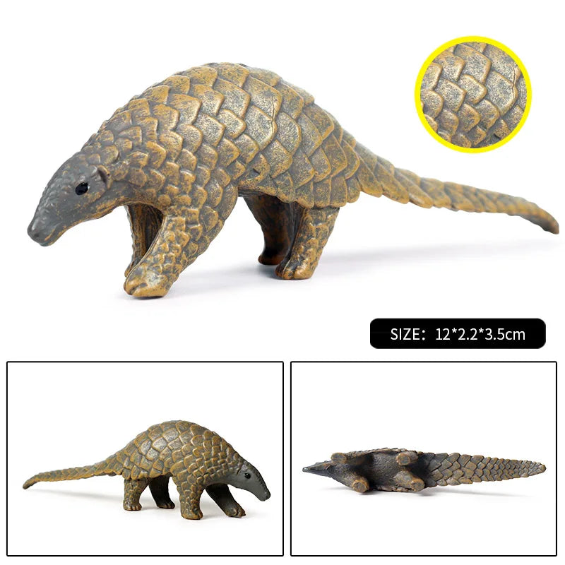 Oenux Wild Animals Simulation AArdvark Anteater Armadillo Pangolin Ant Natural Enemy Figurines PVC Model Collection Kid Toy Gift