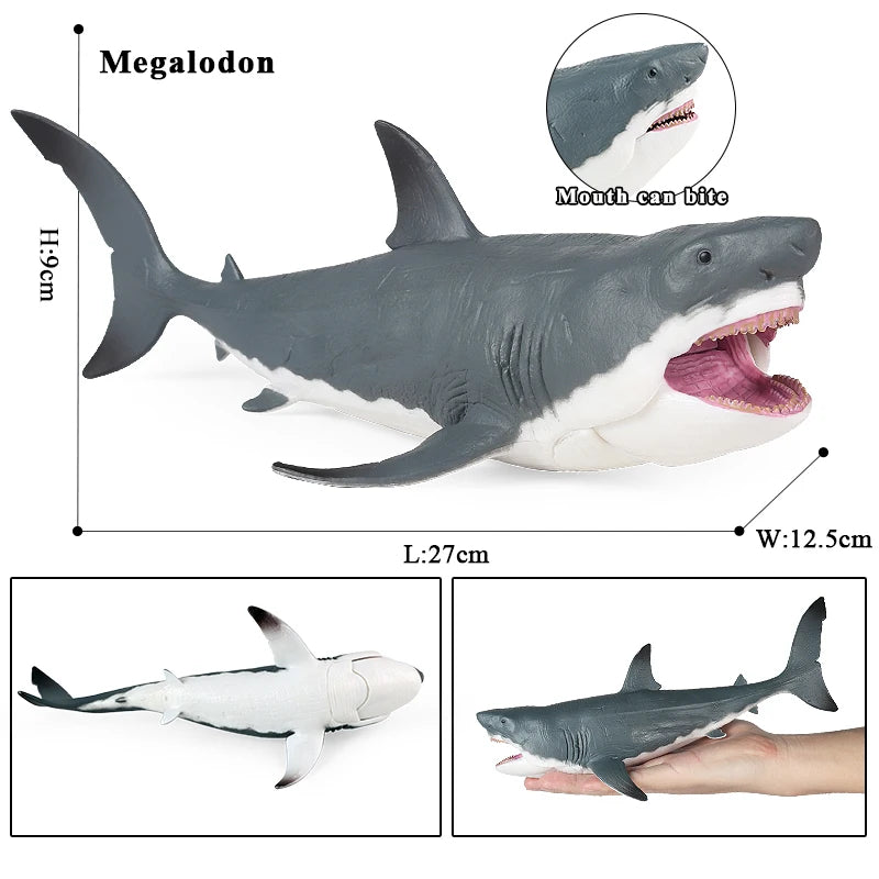 Oenux Ocean Animal Savage Megalodon Beluga Big Shark Orca Sperm Blue Whale Action Figures Sea Life Model Educational Kids Toy