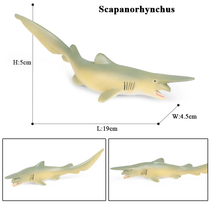 Oenux Ocean Life Animals Whale Dolphin Basking Shark Narwhal Tropical Fish Model Action Figures PVC Education Toy Kids Gift