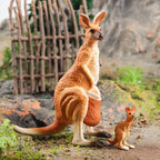 Oenux Classic Australian Wild Animals Kangaroos Koala Platypus Tasmanian Devil Echidna Cassowary Model Figurine Toy Kid Gift