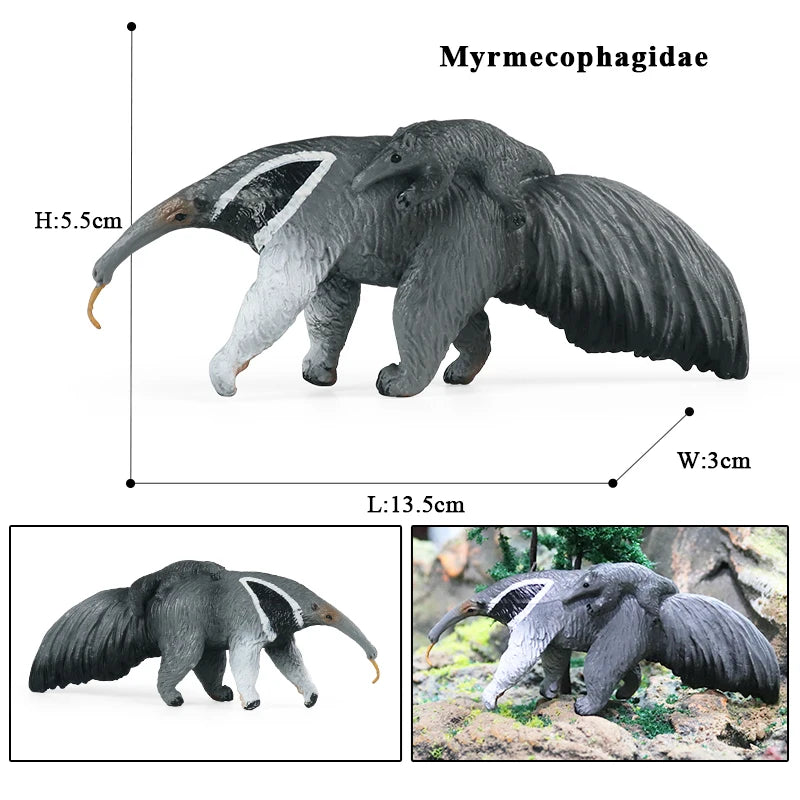 Oenux Wild Animals Simulation AArdvark Anteater Armadillo Pangolin Ant Natural Enemy Figurines PVC Model Collection Kid Toy Gift