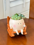 Smiling Face Swing Flower Pot for Succulents & Small Plants