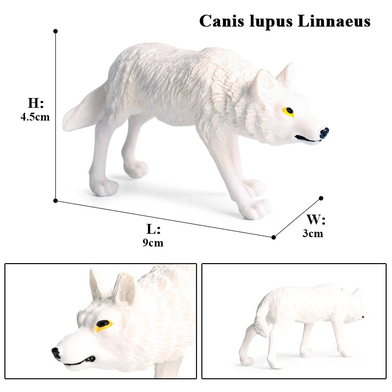 Oenux Wild Beast Animals Small Gray Wolf Maned Wolf Baby Wolves Simulation Model Action Figures Collection PVC Gift Kid Toy Gift