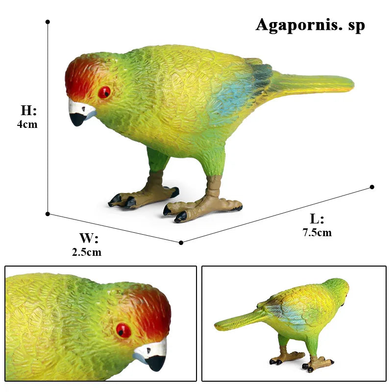 Oenux Bird Forest Animal Parrot Macaw Cockatiel Cockatoo Agapornis Puffin Model Solid PVC Garden Decoration Education Kids Toy