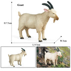 Oenux Classic Farm Animal Simulation Sheep Goat Argali Antelope Model Action Figure Poultry Figurines Cute Toy For Kid Gift