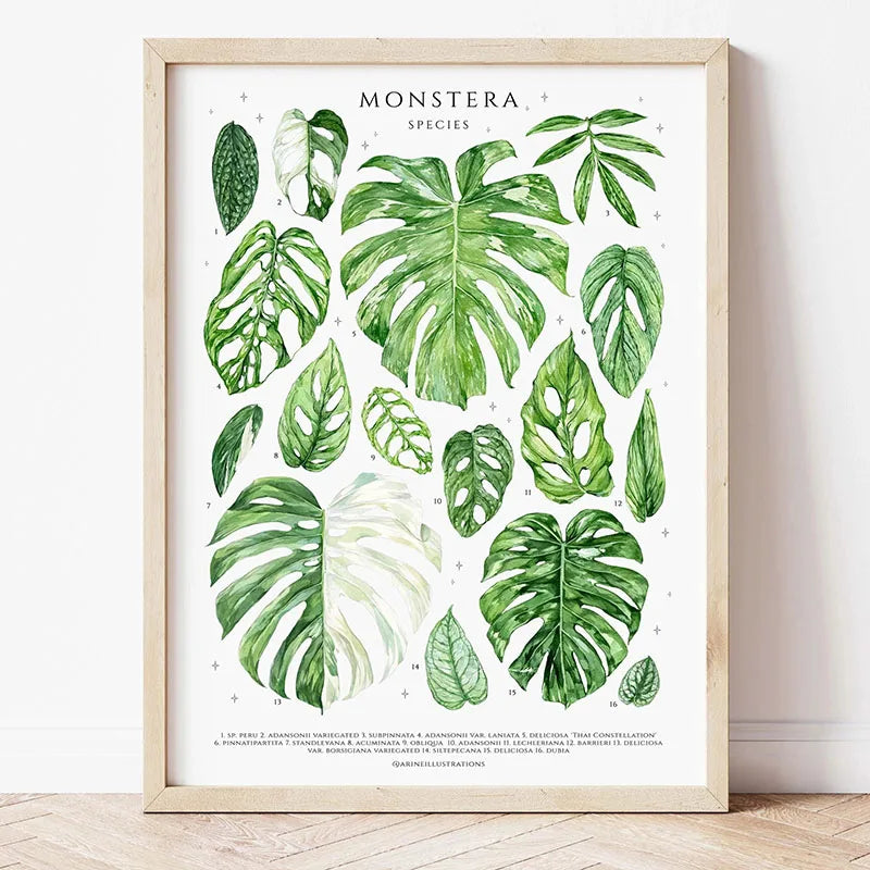 1pc Green Botanical Leaves Interior Art Print Houseplants Nature Indoors Canvas Wall Home Decor Calming Poster Foliage and Plant