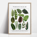 1pc Green Botanical Leaves Interior Art Print Houseplants Nature Indoors Canvas Wall Home Decor Calming Poster Foliage and Plant