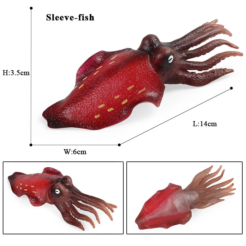 Oenux Marine Molluscs Model Simulation Squid Octopus Growth Cycle Action Figure Sealife Animals Education Collection Kids Toy
