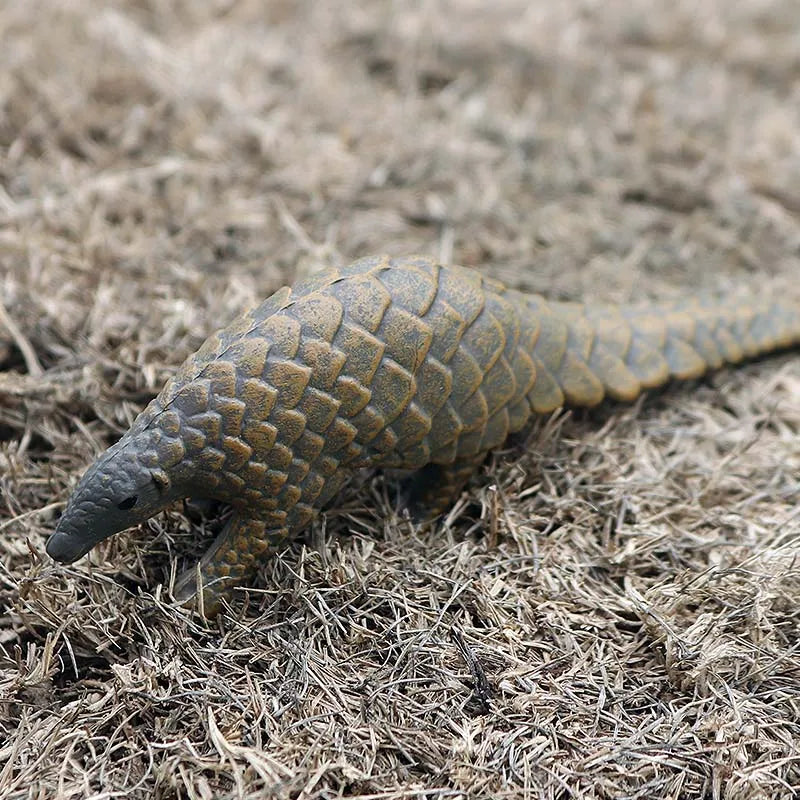 Oenux Wild Animals Simulation AArdvark Anteater Armadillo Pangolin Ant Natural Enemy Figurines PVC Model Collection Kid Toy Gift