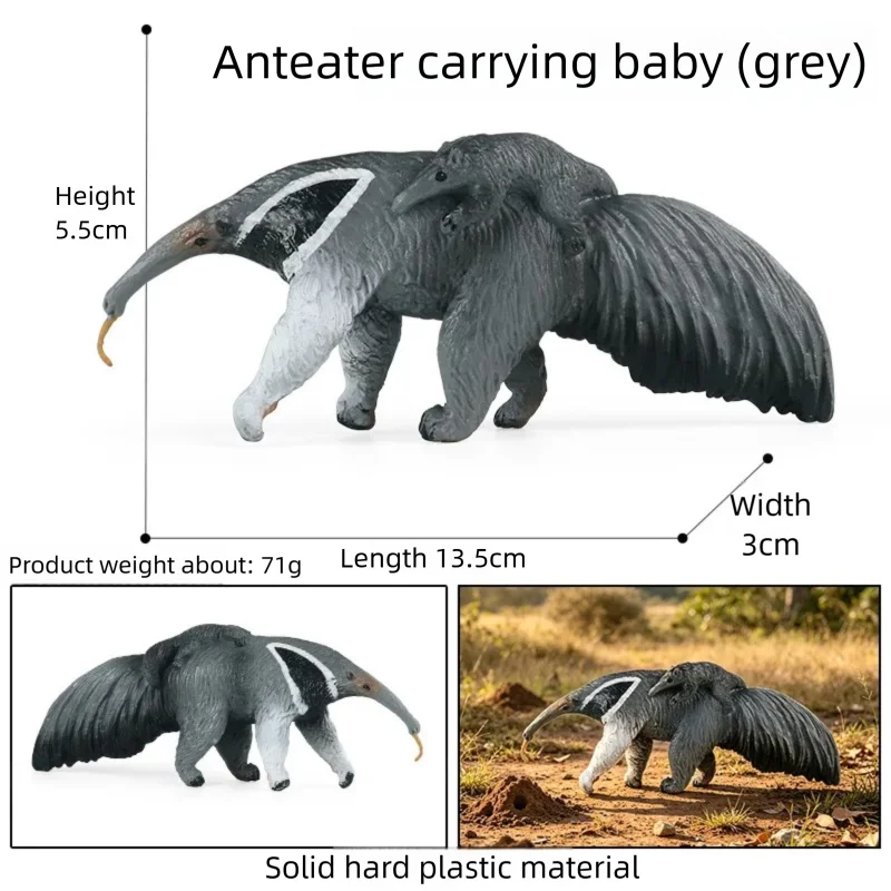 Oenux Realistic Wildlife Animal Model Beaver Badger Wolverine Anteater Pangolin Figurine  Simulation Cognitive Educational Displ
