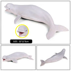 Oenux Ocean Animal Savage Megalodon Beluga Big Shark Orca Sperm Blue Whale Action Figures Sea Life Model Educational Kids Toy