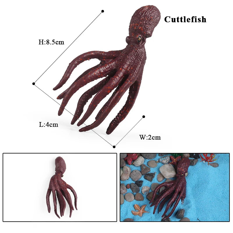 Oenux Marine Molluscs Model Simulation Squid Octopus Growth Cycle Action Figure Sealife Animals Education Collection Kids Toy