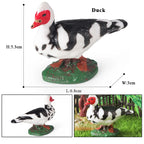 Oenux Poultry Model Simulation Goose Swan Gaggle Duck Flock Action Figures Farm Animals Figurine Miniature Education Kids Toy
