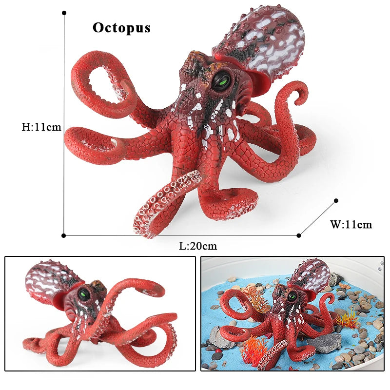 Oenux Marine Molluscs Model Simulation Squid Octopus Growth Cycle Action Figure Sealife Animals Education Collection Kids Toy