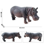 Oenux Original African Wild Animals Simulation Savage Bengal Tiger Siberian Tiger White Tiger Lion PVC Model Educational Toys