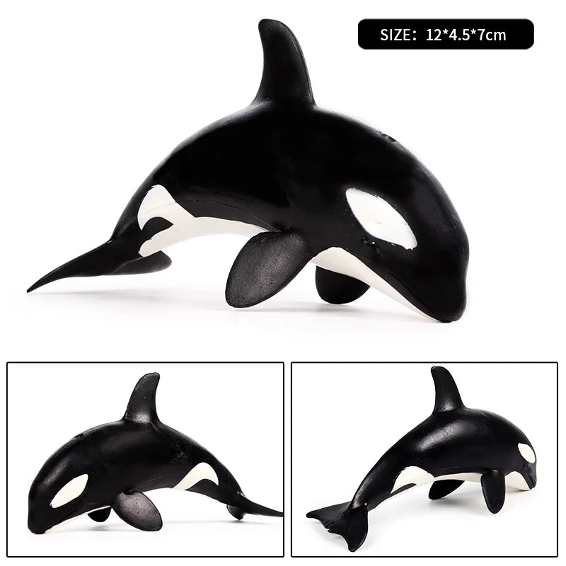 Oenux Ocean Animal Savage Megalodon Beluga Big Shark Orca Sperm Blue Whale Action Figures Sea Life Model Educational Kids Toy