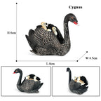 Oenux Classic Australian Wild Animals Kangaroos Koala Platypus Tasmanian Devil Echidna Cassowary Model Figurine Toy Kid Gift