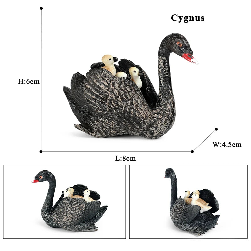 Oenux Classic Australian Wild Animals Kangaroos Koala Platypus Tasmanian Devil Echidna Cassowary Model Figurine Toy Kid Gift