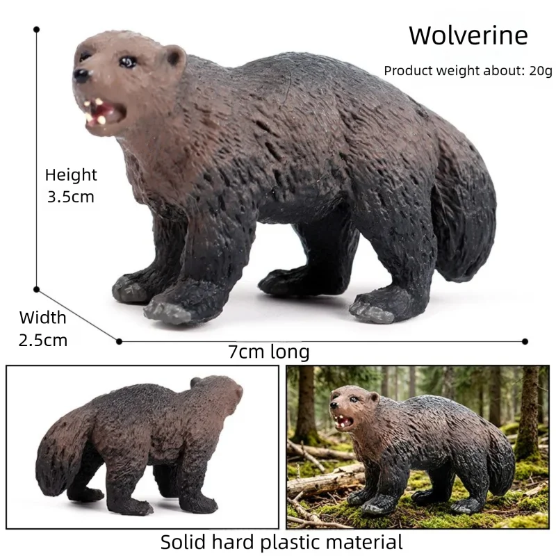 Oenux Realistic Wildlife Animal Model Beaver Badger Wolverine Anteater Pangolin Figurine  Simulation Cognitive Educational Displ