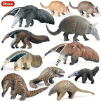 Oenux Wild Animals Simulation AArdvark Anteater Armadillo Pangolin Ant Natural Enemy Figurines PVC Model Collection Kid Toy Gift