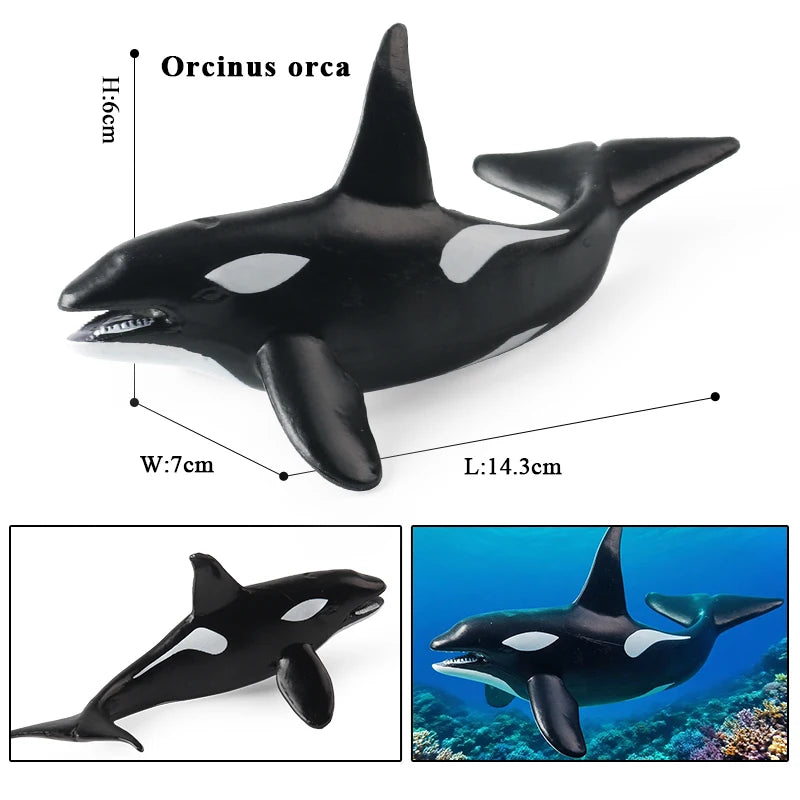 Oenux Ocean Life Animals Whale Dolphin Basking Shark Narwhal Tropical Fish Model Action Figures PVC Education Toy Kids Gift