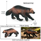 Oenux Realistic Wildlife Animal Model Beaver Badger Wolverine Anteater Pangolin Figurine  Simulation Cognitive Educational Displ
