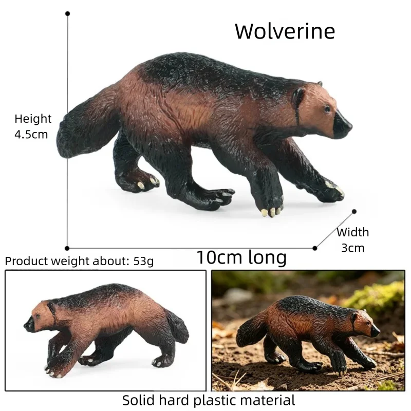 Oenux Realistic Wildlife Animal Model Beaver Badger Wolverine Anteater Pangolin Figurine  Simulation Cognitive Educational Displ