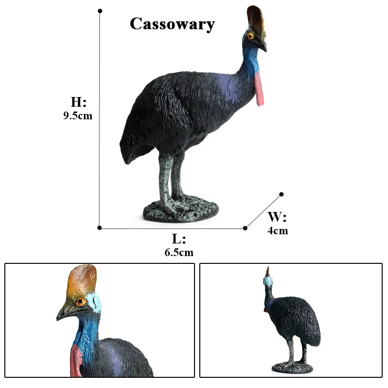 Oenux Classic Australian Wild Animals Kangaroos Koala Platypus Tasmanian Devil Echidna Cassowary Model Figurine Toy Kid Gift
